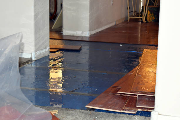Professional Burst Pipe Water Damage technician working in Assonet, MA